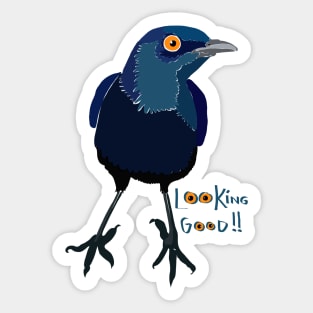 Glossy Starling Sticker